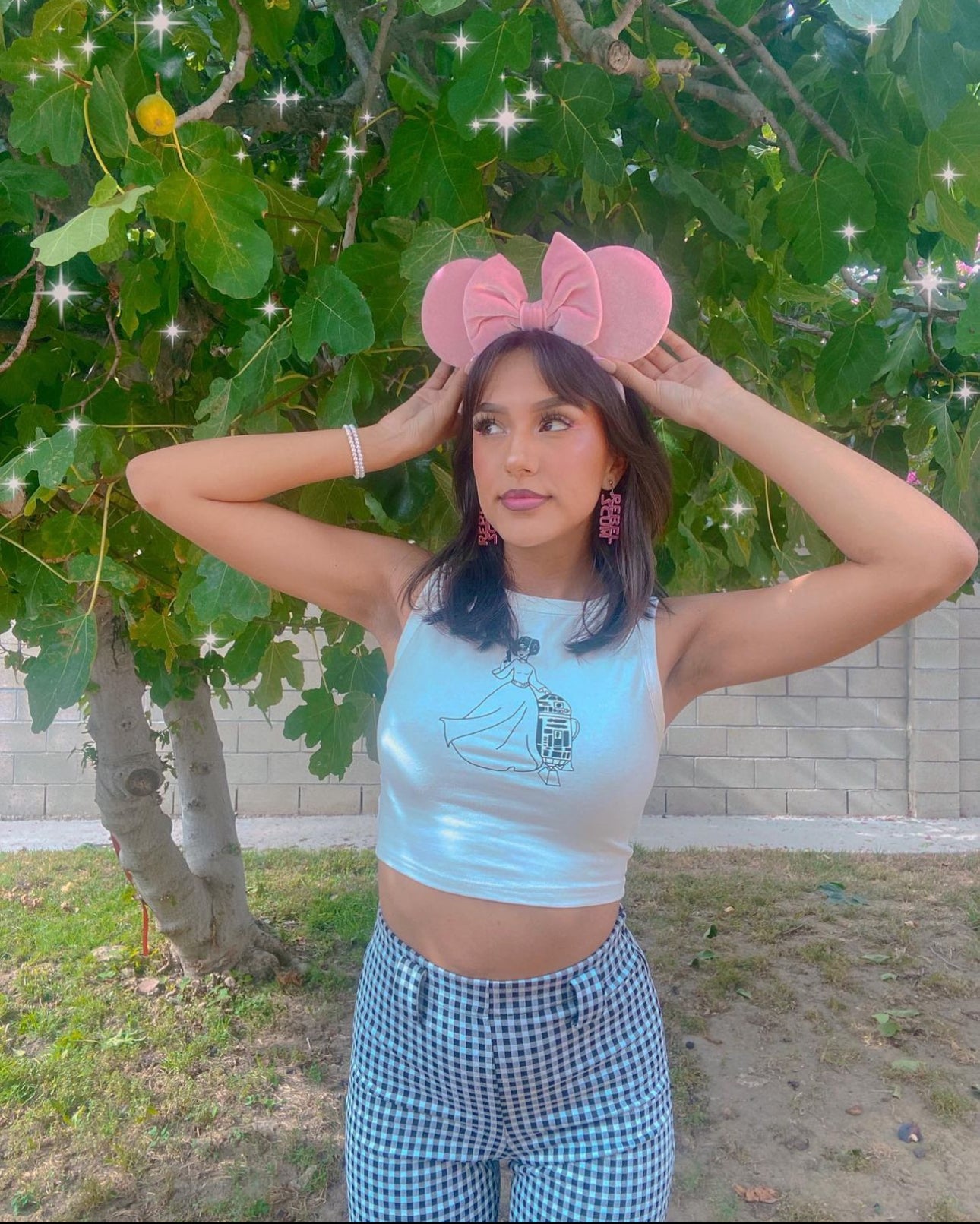 Princess Leia Crop Tank